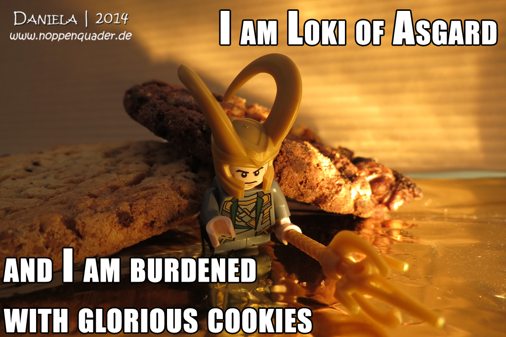 2014-10-05 Loki Cookies