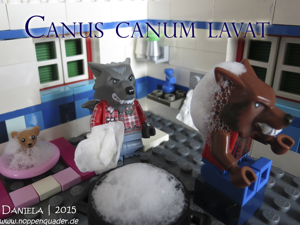 2015-12-03 Canus