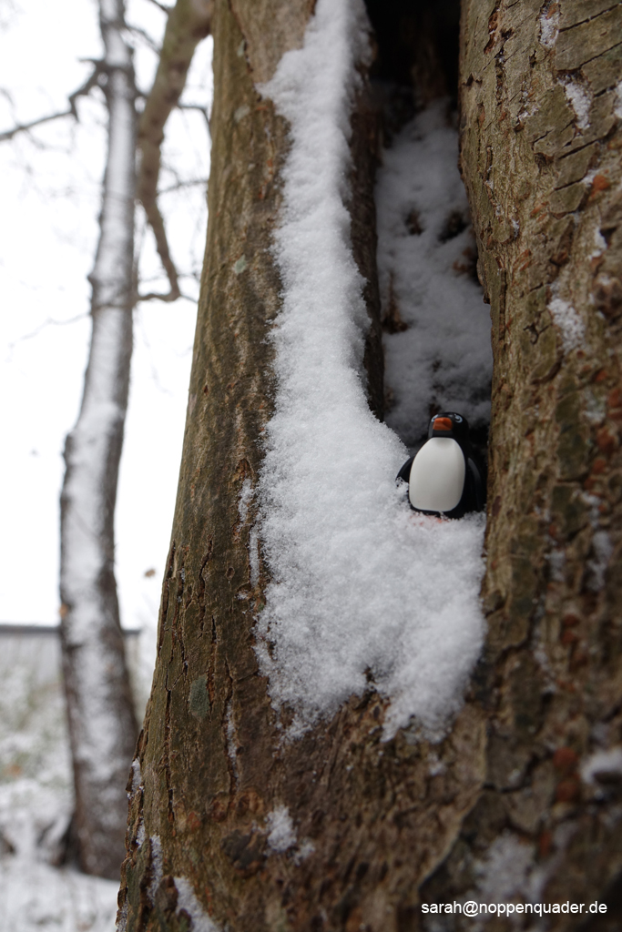 lego pinguin baum fliegen nest winter schnee höhle